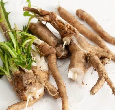 Chicory Root Inulin, one of the three declared components of SodaTide